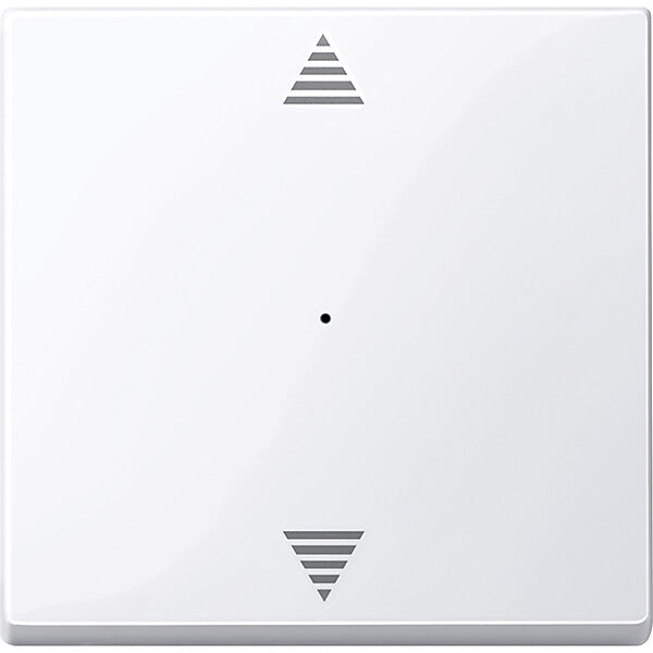 Merten Wippe aws/gl für Tastermodul 1f. 619425